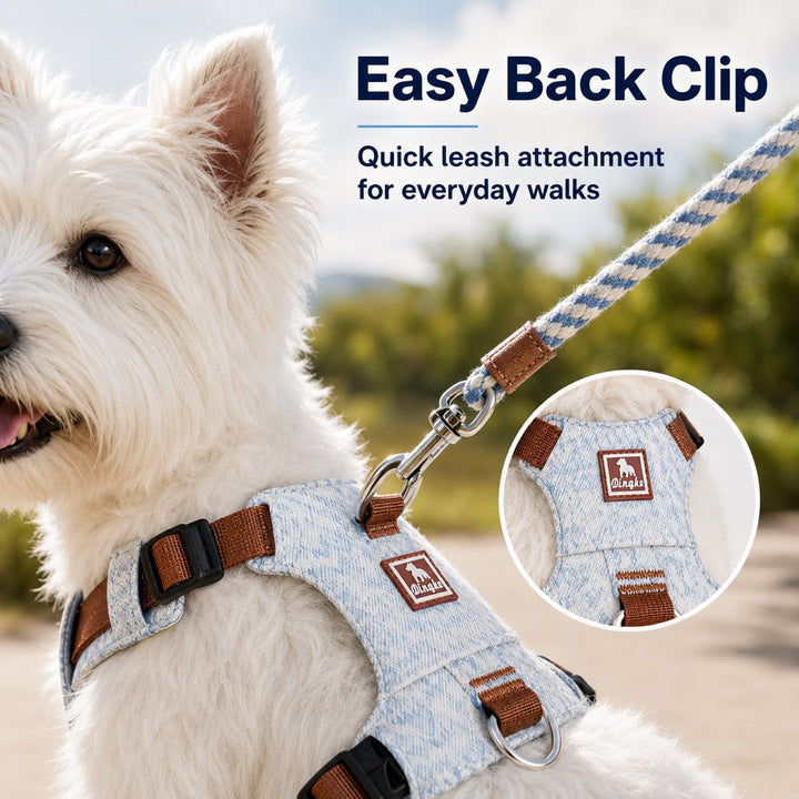 Vintage Denim No-Pull Dog Harness &5 ft Rope Leash Set