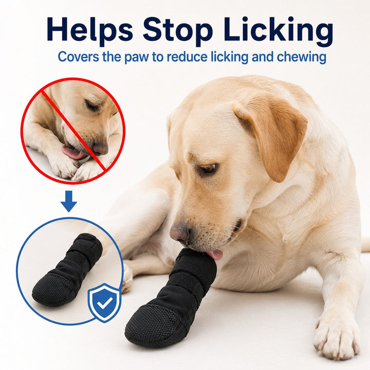 Dog Paw Recovery Boot for Home Rest & Walks | Anti-Lick Protective Cover for Injured Paws