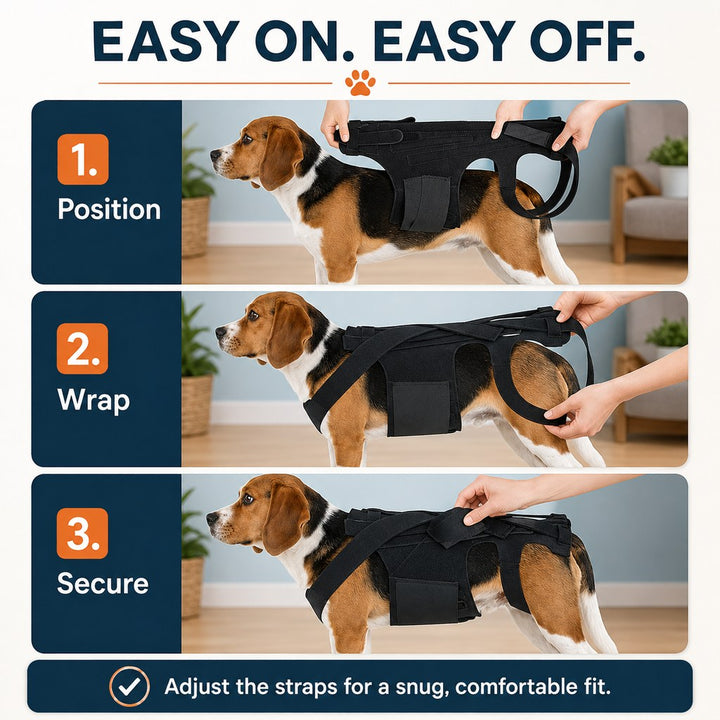 Dog Back Support Brace for Senior & Recovering Dogs