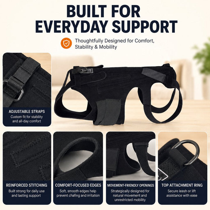 Dog Back Support Brace for Senior & Recovering Dogs