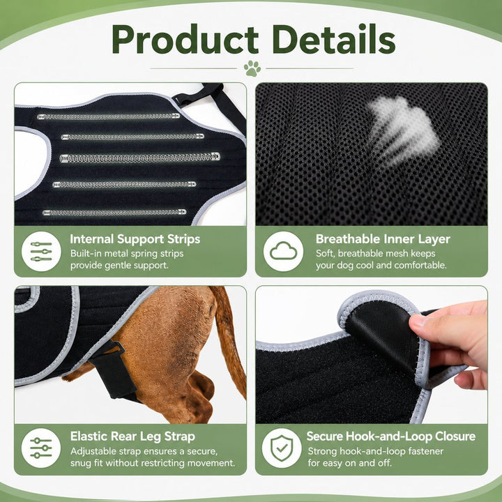 Dog Back Support Vest for Daily Walks & Home Recovery