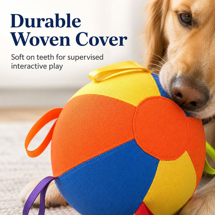 Inflatable Dog Play Ball for Backyard & Indoor Play
