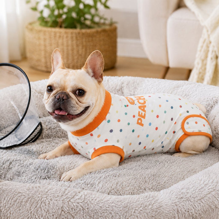 Dog Recovery Suit for Post-Surgery Belly Protection