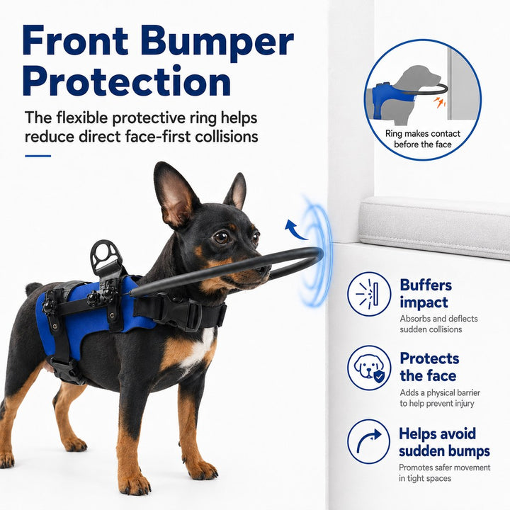 Adjustable Dog Bumper Ring Harness for Safer Home Walking