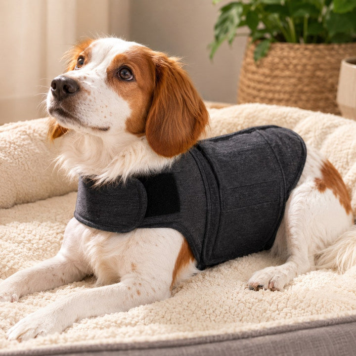 Dog Calming Vest for Travel & Vet Visits | Adjustable Comfort Wrap for Nervous Dogs