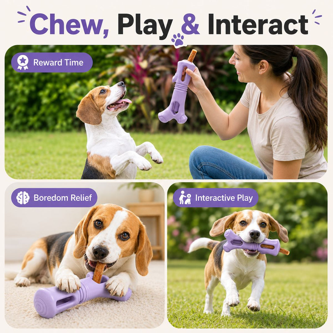 Dog Chew Stick Holder for Safer Treat Time at Home