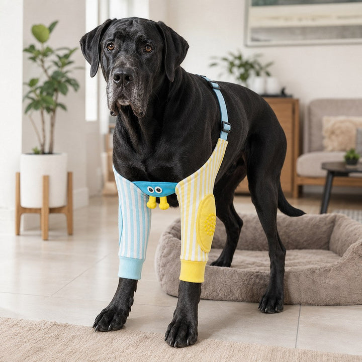 Padded Dog Elbow Protector Sleeves for Hard Floors