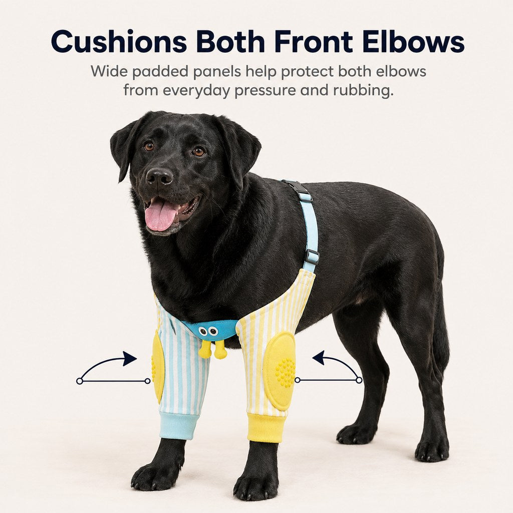Padded Dog Elbow Protector Sleeves for Hard Floors