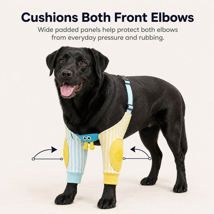 Padded Dog Elbow Protector Sleeves for Hard Floors