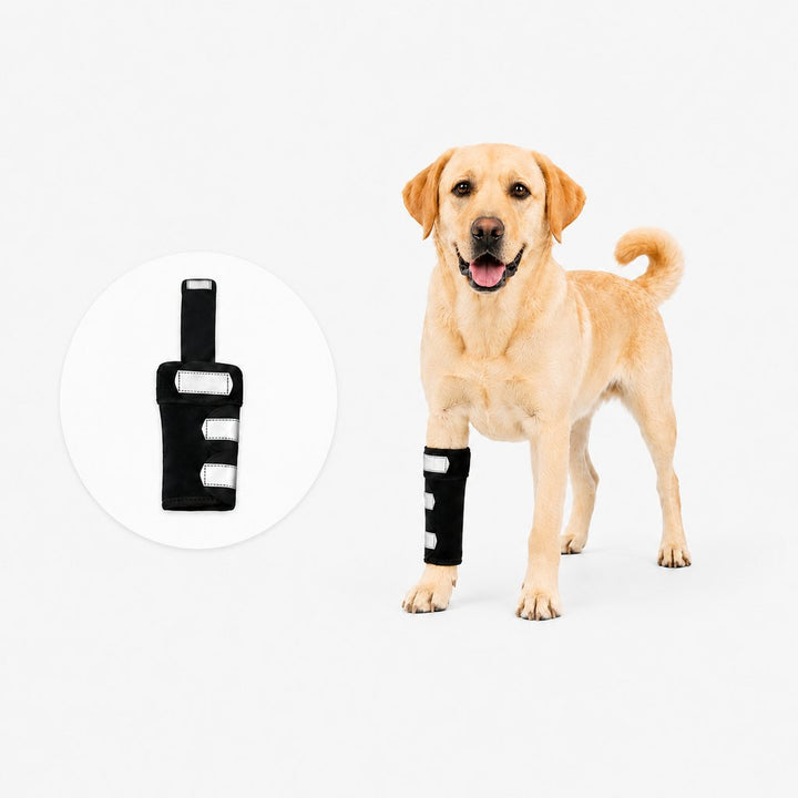 Dog Front Leg Brace for Weak or Injured Legs