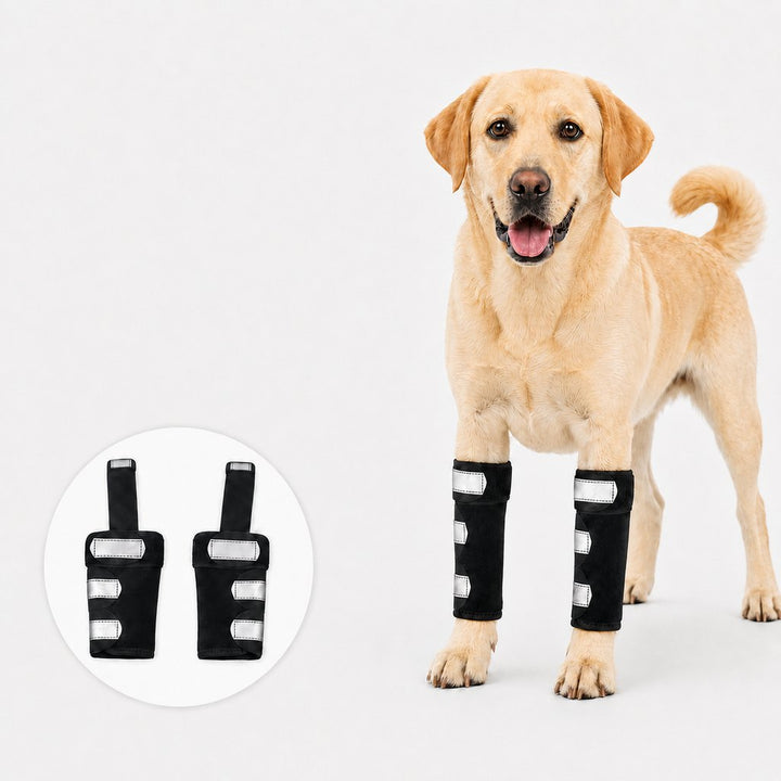 Dog Front Leg Brace for Weak or Injured Legs