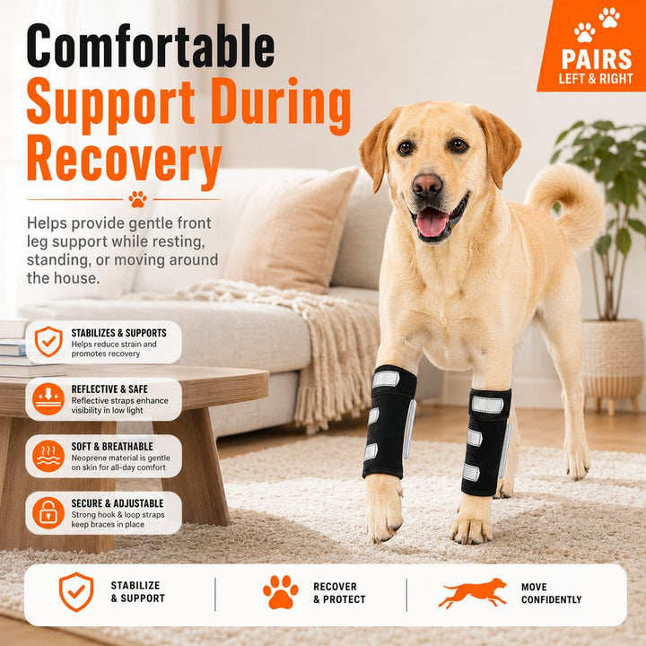 Dog Front Leg Brace for Weak or Injured Legs
