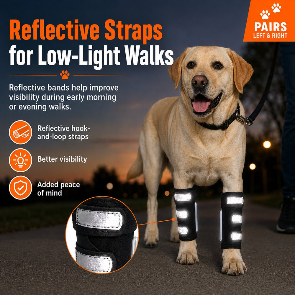 Dog Front Leg Brace for Weak or Injured Legs