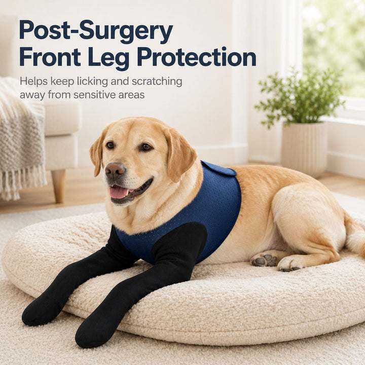 PawGuard Dual Front Leg Recovery Sleeves for Dogs