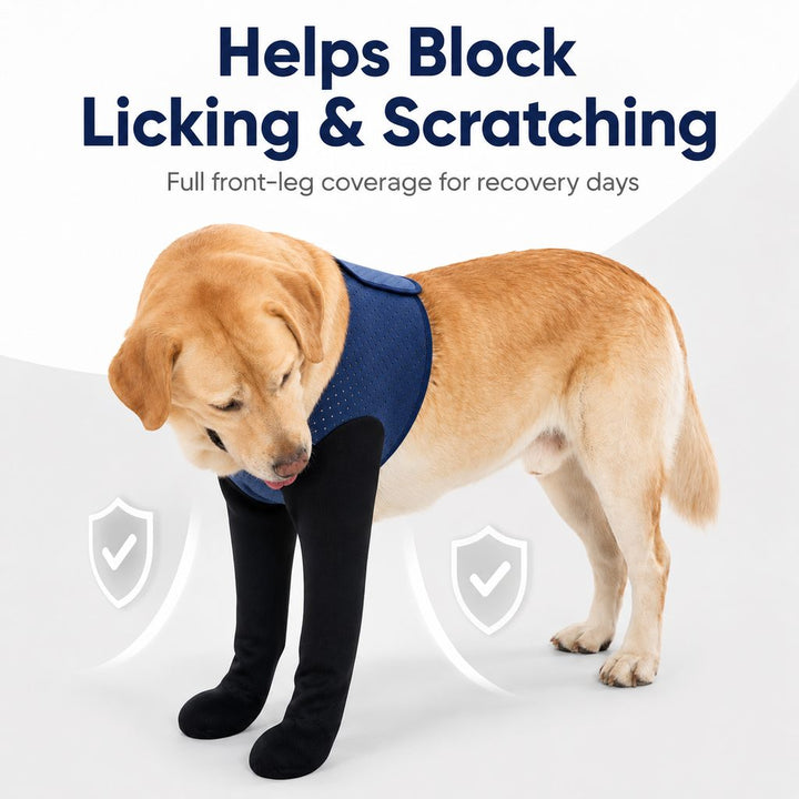 PawGuard Dual Front Leg Recovery Sleeves for Dogs