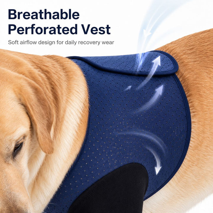 PawGuard Dual Front Leg Recovery Sleeves for Dogs