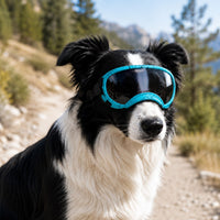 Blue / Black Speckle