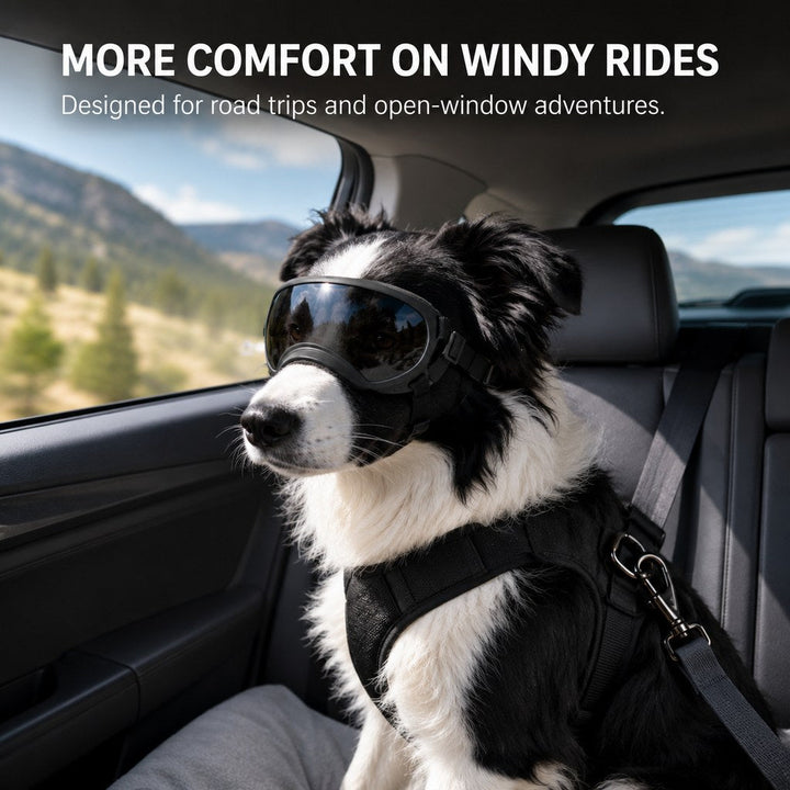 Photochromic Dog Goggles for Hiking & Car Rides | Adjustable Wind, Dust & Debris Coverage
