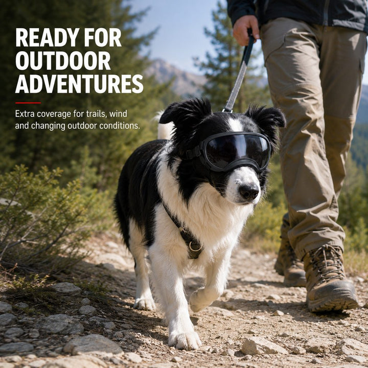 Photochromic Dog Goggles for Hiking & Car Rides | Adjustable Wind, Dust & Debris Coverage