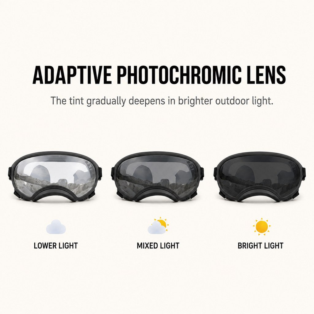 Photochromic Dog Goggles for Hiking & Car Rides | Adjustable Wind, Dust & Debris Coverage