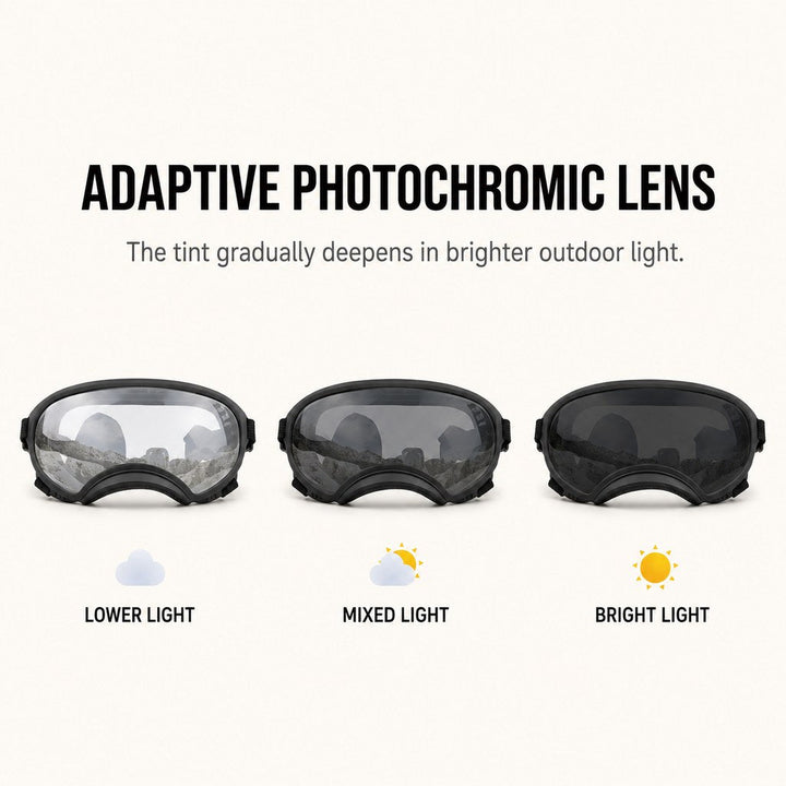 Photochromic Dog Goggles for Hiking & Car Rides | Adjustable Wind, Dust & Debris Coverage