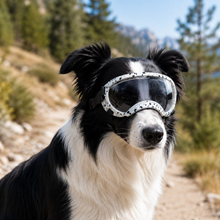 Photochromic Dog Goggles for Hiking & Car Rides | Adjustable Wind, Dust & Debris Coverage