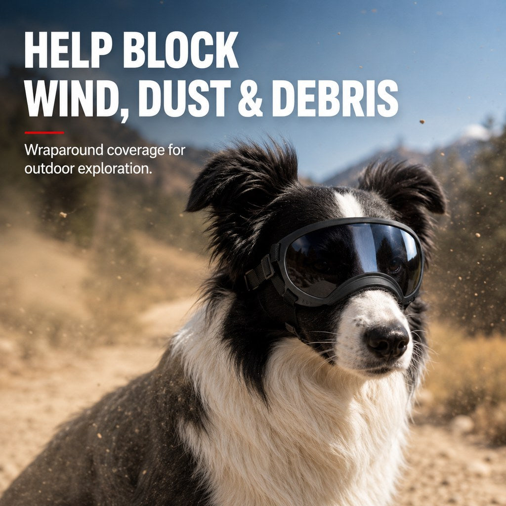 Photochromic Dog Goggles for Hiking & Car Rides | Adjustable Wind, Dust & Debris Coverage