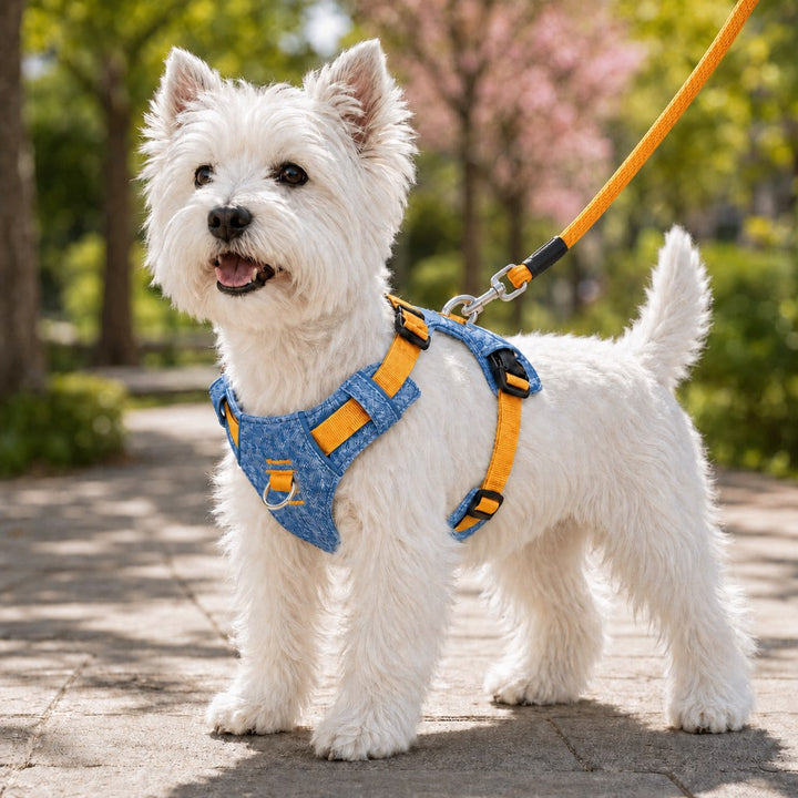 Vintage Denim No-Pull Dog Harness &5 ft Rope Leash Set