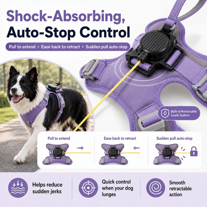 2-in-1 No Pull Dog Harness with Built-in Retractable Leash