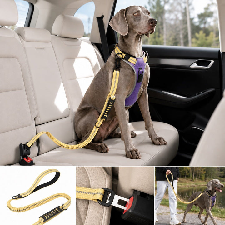 Reflective Dog Car Seat Belt Leash for Backseat Travel & Daily Walks
