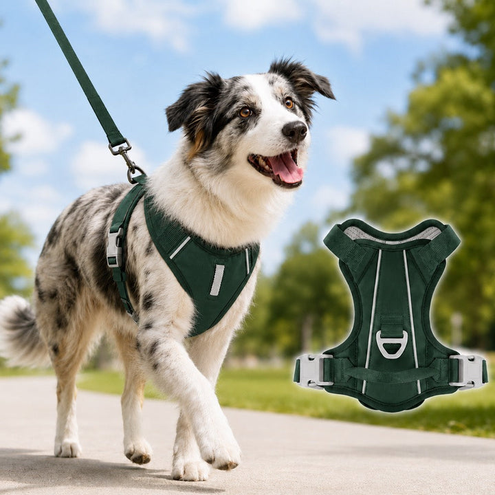 Reflective Dog Harness for Night Walks, Daily Park Walks & No-Neck-Pull Comfort
