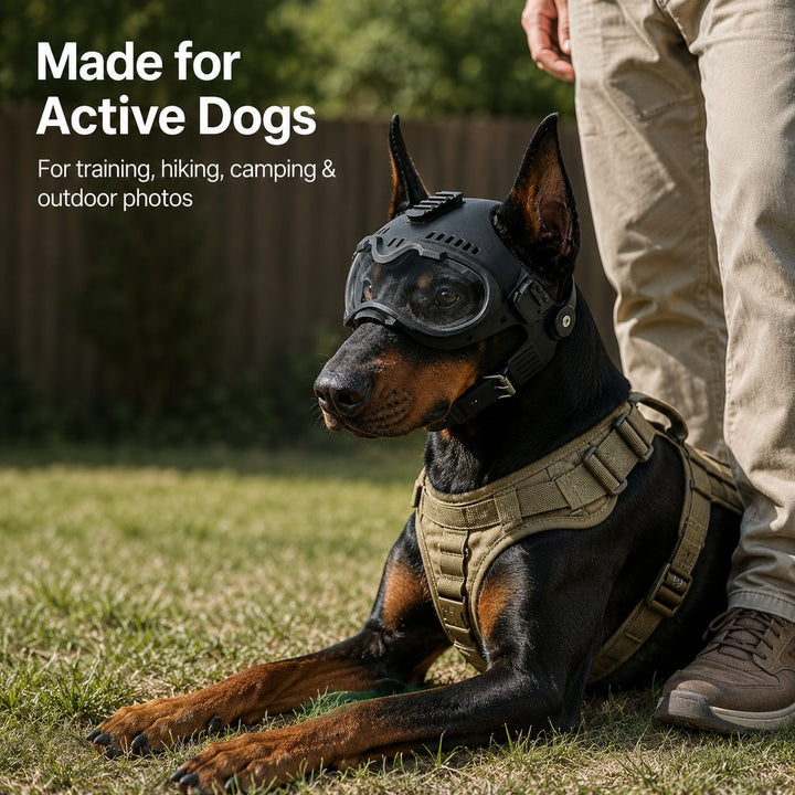 K9 Tactical-Style Dog Helmet with Goggles for Hiking & Outdoor Training