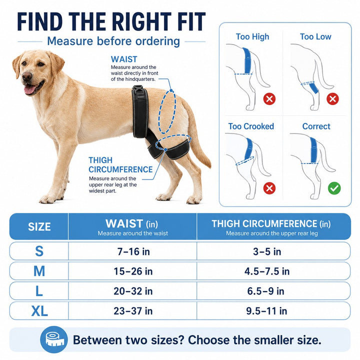 Dog Hip & Rear Leg Support Brace