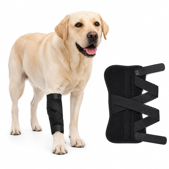 Dog Leg Recovery Support Brace for Senior Dogs & Post-Surgery Wound Protection