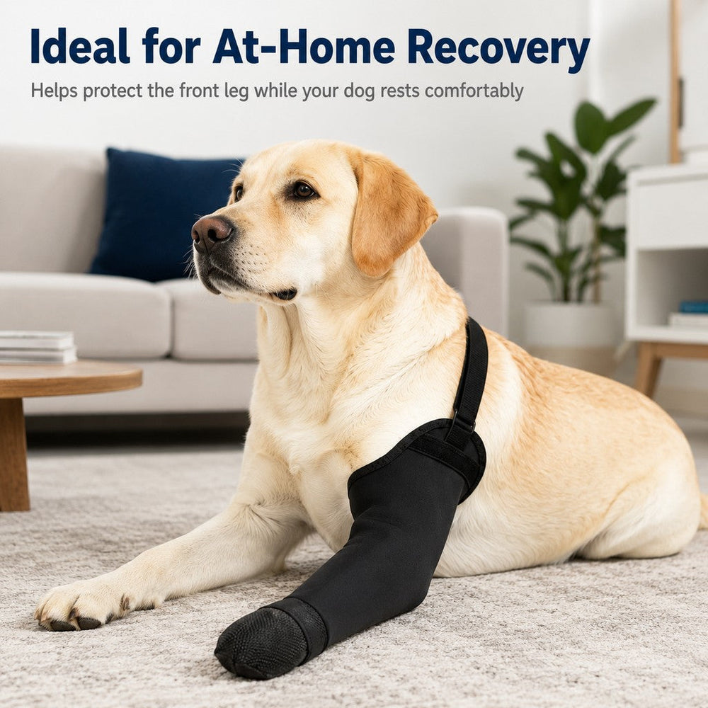 Dog Front Leg Protective Sleeve for Recovery & Walks | Helps Reduce Licking
