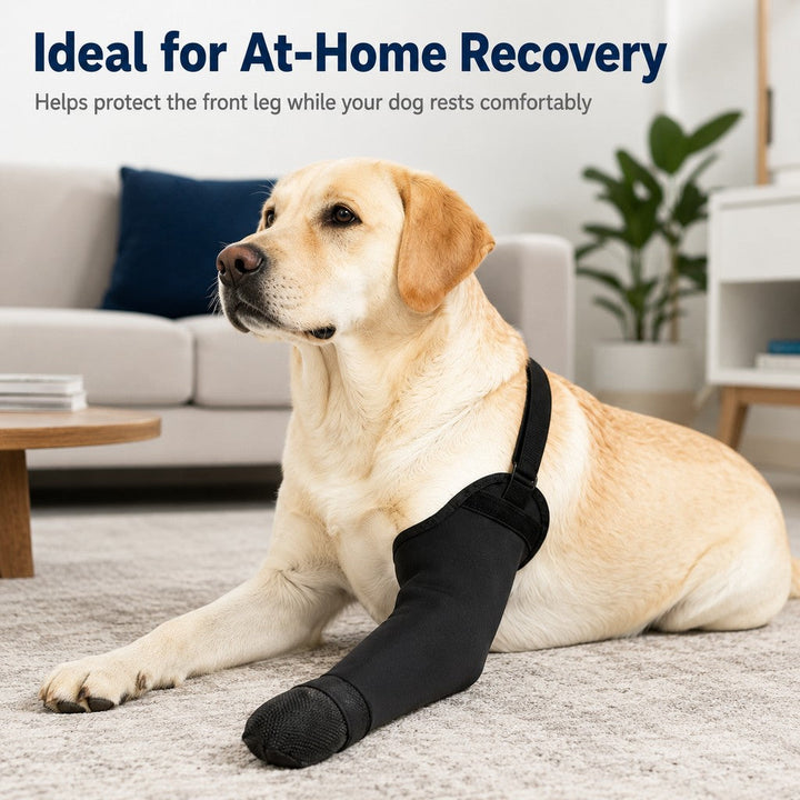 Dog Front Leg Protective Sleeve for Recovery & Walks | Helps Reduce Licking