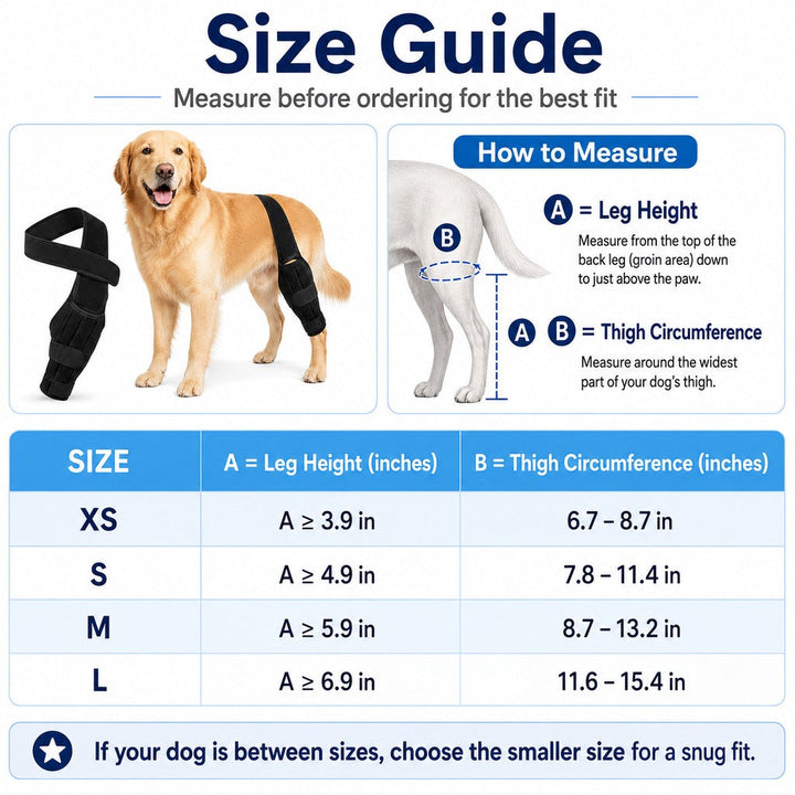 Adjustable Dog Leg Support Brace for Daily Walks | Support for Weak Front or Hind Legs