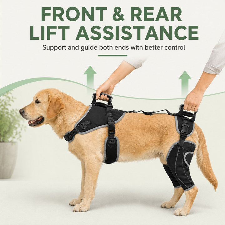 Full-Body Dog Lift Harness with Dual Rear-Leg Support | Easier Standing, Stairs & Car Entry