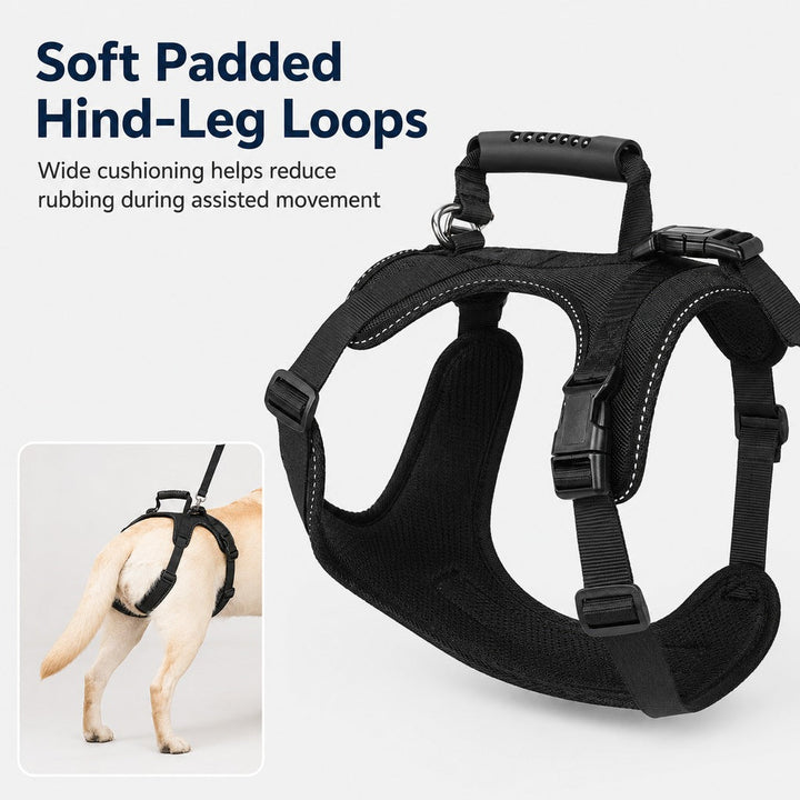 Full-Body Dog Lift Harness for Large Dogs