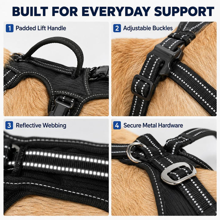Full Body Dog Lift Harness for Stairs & Car | Mobility Support for Weak Hind Legs