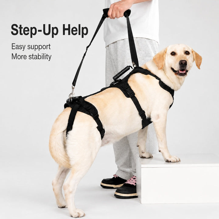 Full-Body Dog Lift Harness for Large Dogs