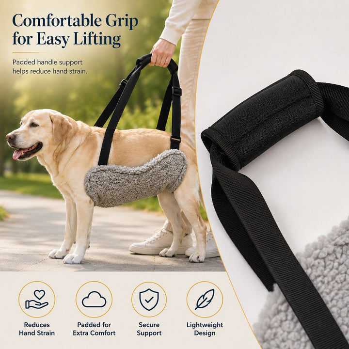Dog Lift Support Sling for Stairs & Walks