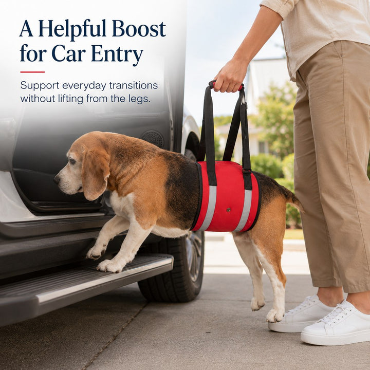 Reflective Dog Lift Support Sling