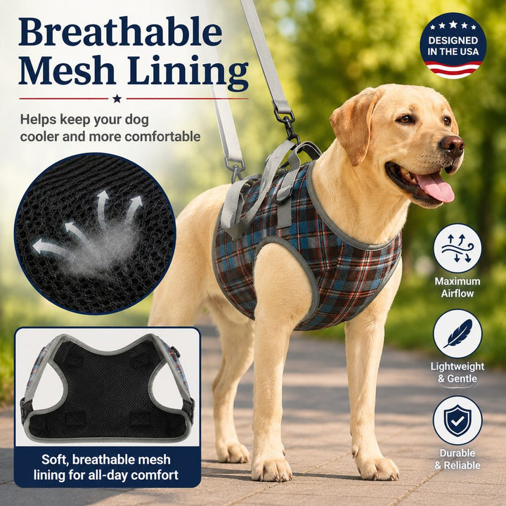 Dog Mobility Support Harness for Stairs & Cars | Front or Rear Lift Assist for Weak Legs