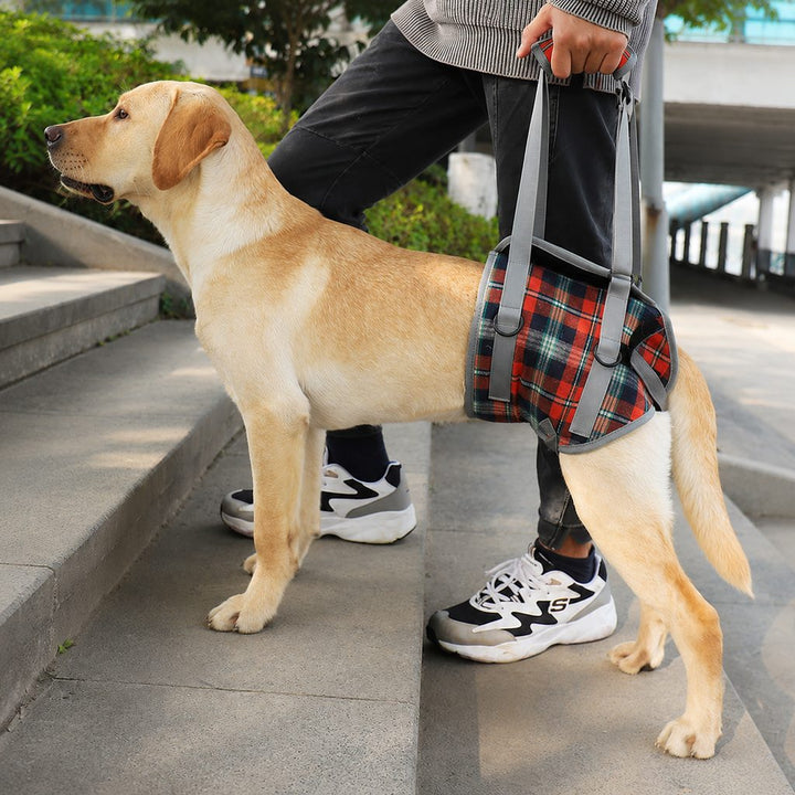 Dog Mobility Support Harness for Stairs & Cars | Front or Rear Lift Assist for Weak Legs