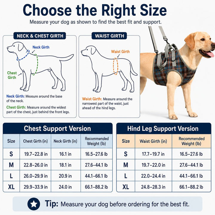 Dog Mobility Support Harness for Stairs & Cars | Front or Rear Lift Assist for Weak Legs