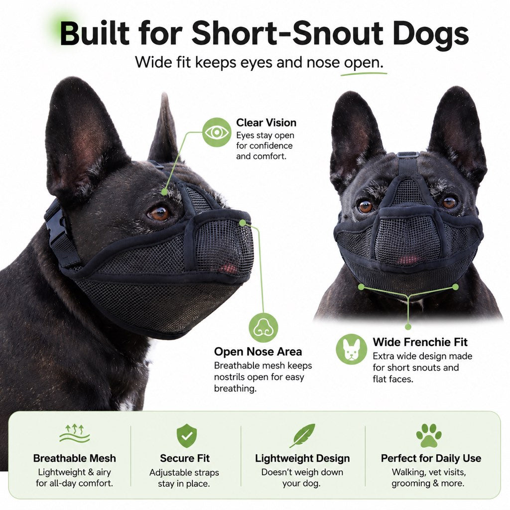 French Bulldog Breathable Mesh Muzzle for Walks, Grooming & Scavenging Control