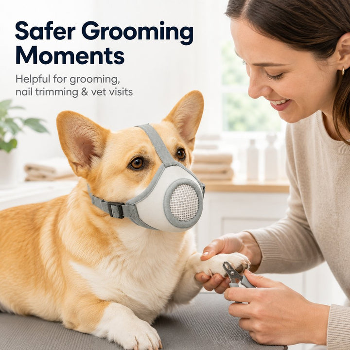 Breathable Dog Muzzle for Walks, Grooming & Vet Visits