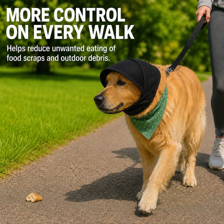 Breathable Anti-Scavenging Dog Muzzle for Walks | Mesh Hood Helps Block Food Scraps & Trash
