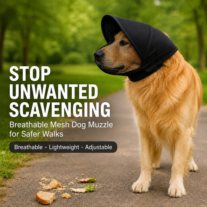 Breathable Anti-Scavenging Dog Muzzle for Walks | Mesh Hood Helps Block Food Scraps & Trash